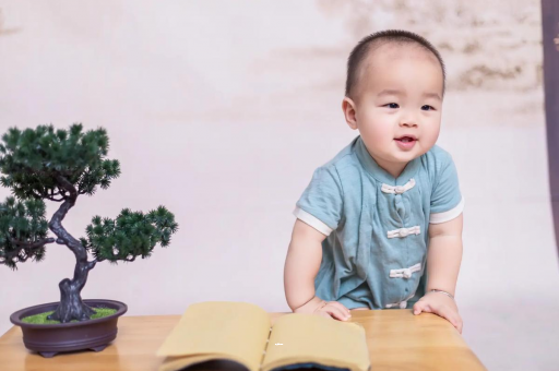 德阳可爱的企鹅宝宝